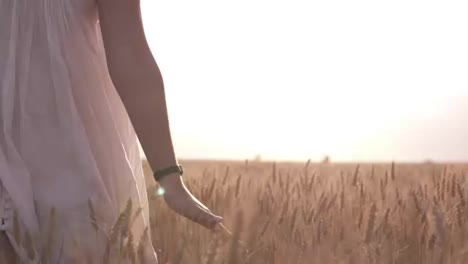 Close-up-of-a-woman-in-white-dress-going-by-the-wheat-field-and-touching-the-plants.-Summer,-sunny-day,-clear-sky