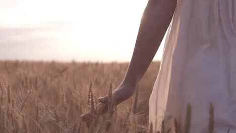Summer-day,-woman-in-white-is-running-through-wheat-in-clear-wide-field.-Sun-light,-daytime