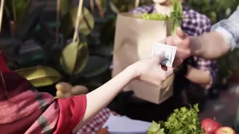 Unrecognizable-people-selling-organic-food-in-a-local-harvest-market.-Cropped-footage-of-hands-of-customer-giving-money---american-dollar-note-to-a-seller-and-take-the-paper-bag-with-grocery.-Sunshine-blicks