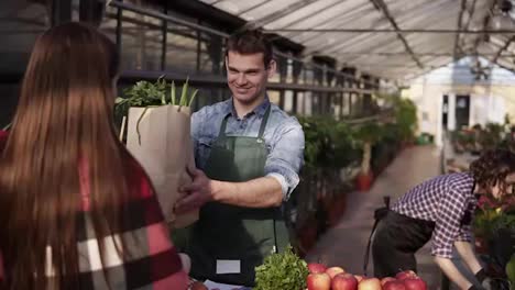 Portrait-of-european-salesman-wearing-green-apron-is-giving-organic-food-in-brown-paper-bag-to-female-customer-in-greenhouse.-Cheerful,-smillling-man-selling-organic-food-from-the-table-while-his-wife-harvesting-on-the-background