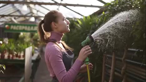 Young-attractive-female-gardener-in-uniform-watering-plants-with-garden-hose-in-greenhouse