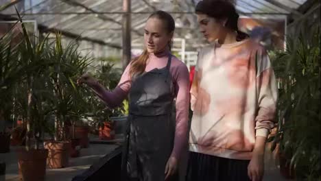 Young-female-florist-walking-with-a-client-and-showing-palm-trees,-explaining-information.-Young-woman-is-listening-carefully-to-the-florist