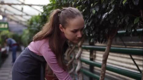 Closeup-view-of-young-beautiful-female-gardener-in-uniform-watering-plants-with-garden-hose-in-greenhouse.-Slowmotion-shot