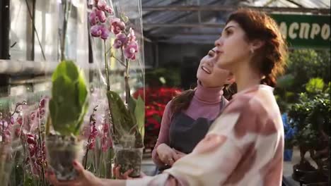 Young-smiling-female-florist-in-apron-helping-a-female-customer-to-choose-a-flowerpot-with-orchid-flower.-Young-woman-carefully-examines-the-flower.-Slowmotion-shot