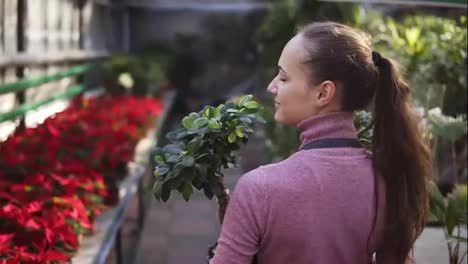 Back-view-of-a-young-female-florist-with-ponytail-in-apron-walking-among-rows-of-flowers-in-flower-shop-or-greenhouse-while-holding-two-pots-with-plants-in-her-hands.-Slowmotion-shot