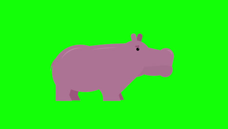 hippo-icon-loop-Animation-video-transparent-background-with-alpha-channel.