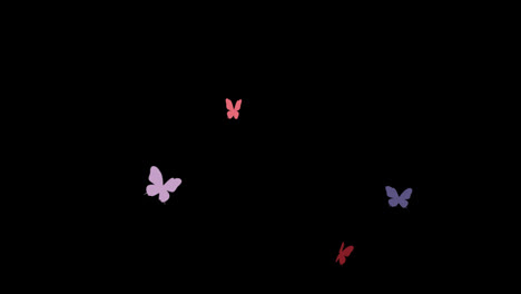 beautiful-Butterfly-flying,-seamless-loop-animation