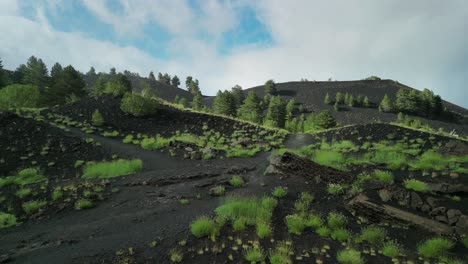 Unusual-landscape-with-lava-floor-and-luxuriant-vegetation-natural-contrast-between-gray-and-green-,-dark-peaks