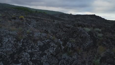 Paisaje-Volcánico-De-Biodiversidad-En-Los-Alrededores-Del-Volcán-Etna.