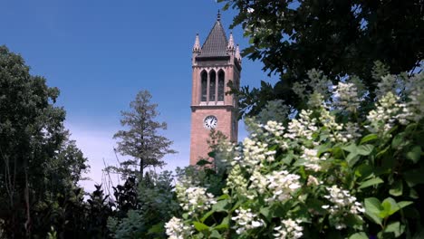 Iowa-State-University-Campanile-in-Ames,-Iowa-with-view-through-trees-and-flowers-stable-video