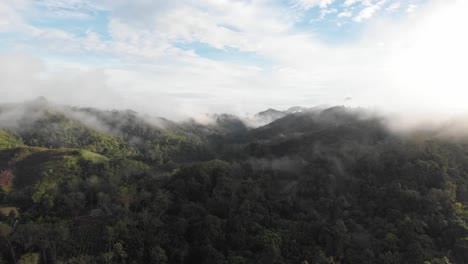 Drone-shot,-forest-in-the-clouds,-during-bright-daylight