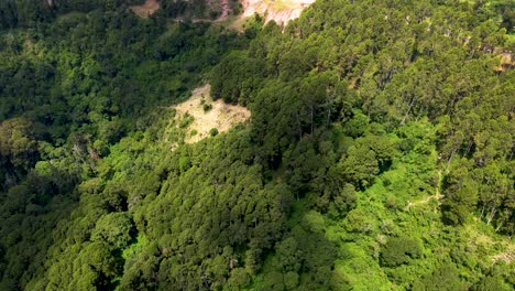 Ländliche-Waldbedeckung-Drohnenansicht-Des-Natürlichen-Waldes-Des-Kleinen-Dorfes-Afrika,-Stadt-West-Pokot,-Kenia,-Afrika