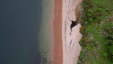 Wild-Scottish-beach,-top-down-aerial,-Morvern,-Highlands