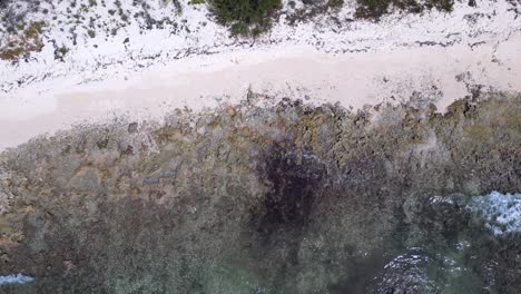 Drone-footage-following-waves-in-a-turquoise,-tropical-ocean-as-they-crash-over-a-coral-reef-and-onto-a-beach-in-the-Caribbean-before-flying-over-palm-trees-and-a-tropical-forest