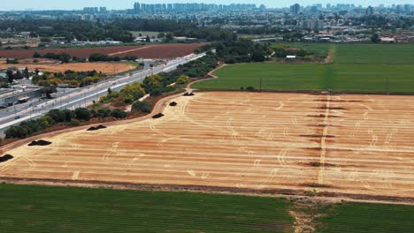 A-drone-shot-flying-upwards,-a-huge-yellow-green-field,-with-cars-driving-on-a-road-and-a-city-full-of-buildings-in-front,-4K-video,-Israel