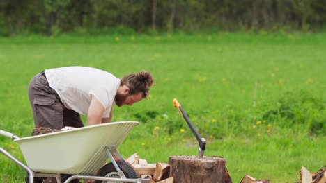 A-Guy-Is-Placing-Chopped-Woods-Over-Wheelbarrow