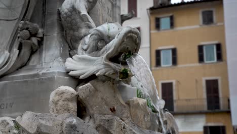Water-Flowing-From-Mouth-Of-Dragon-At-Fontana-del-Pantheon