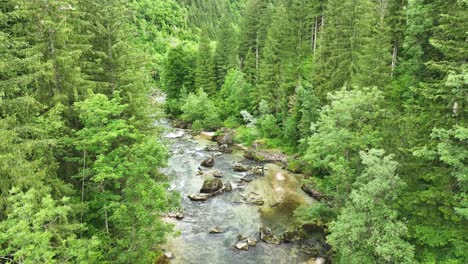 Ruhiger-Flussbach-Mit-Felsen-Fließt-Um-Die-Grüne-Waldlandschaft-Des-Naturparks-Logartal,-Slowenien,-Luftaufnahme-Einer-Drohne