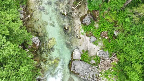 Drone-Aéreo-Entra-Dentro-Del-Flujo-De-Agua-Prístina-De-Un-Frondoso-Bosque-En-El-Valle-De-Logar-Eslovenia,-Viajes-Y-Turismo-En-Parques-Naturales