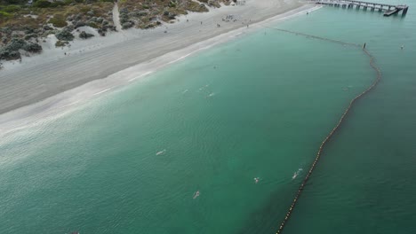 Schwimmer-Werden-Durch-Ein-Haifischnetz-Im-Meer-Am-Coogee-Beach-In-Australien-Geschützt