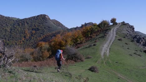 Un-Excursionista-Masculino-Solitario-Con-Un-Paquete-Camina-Por-Un-Camino-De-Tierra-Del-Bosque-De-Montaña-De-Otoño