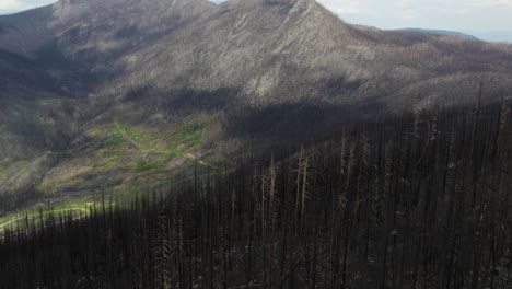 Vast-terrain-shows-aftermath-of-destructive-wildfire-on-mountains,-aerial