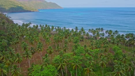 El-Valle-Strandlandschaft-Mit-Schattigen-Kokospalmen-In-Samana,-Dominikanische-Republik