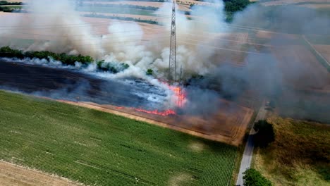 Field-Fire---Burning-Grain-Field---aerial-drone-shot