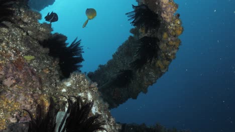 Una-Vista-única-Para-Los-Buceadores-Que-Exploran-Una-Estructura-De-Arte-Submarina-Creada-Como-Un-Arrecife-Artificial.