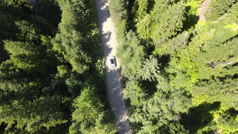an-SUV-navigates-through-forest-roads