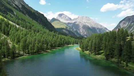 Lake-branch-with-trees-and-mountains