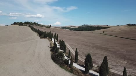 Increíble-Carretera-Toscana-Con-Muchos-árboles