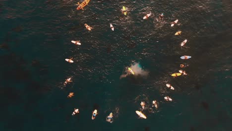 AERIAL:-Group-of-surfers-forming-a-circle-on-the-sea-and-some-splashing-in-a-ceremony
