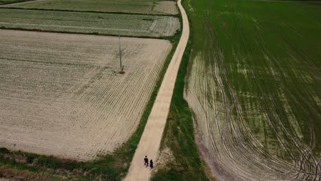 couple-of-friend-walking-in-narrowed-off-road-path-in-countryside-aerial-view