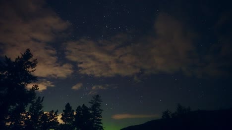 Celestial-Light-Show-above-distant-trees