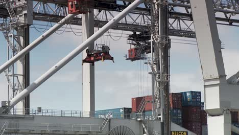 Huge-cargo-cranes-moving-containers-at-Rotterdam-europort-harbour,-telephoto