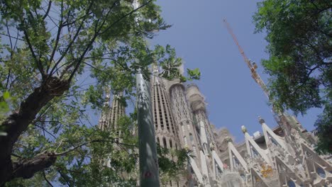 Sky-View-Through-Windy-Trees,-The-Famous-Sagrada-Familia-Cathedral-in-Barcelona-Spain-in-the-Early-Morning-in-6K