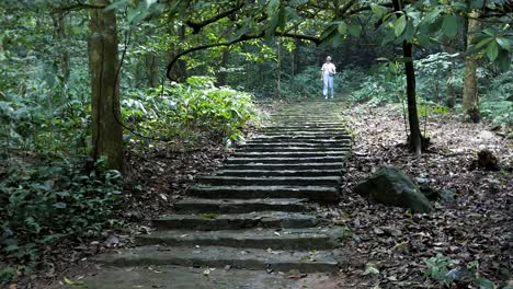 Mujer-Joven-Bajando-Escaleras-En-Una-Zona-Forestal-Del-Parque-Nacional-Ba-Vi