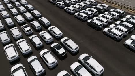 Rows-of-Brand-new-cars-covered-with-white-protective-sheets