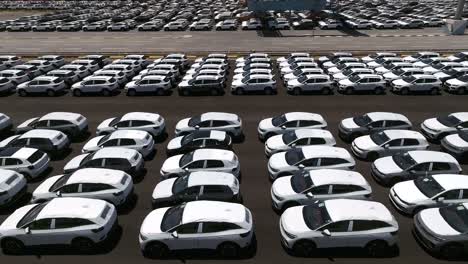 Rows-of-Brand-new-cars-covered-with-white-protective-sheets