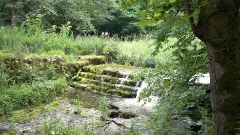 Wasser-Fließt-Schnell-über-Mit-Grünalgen-Bedeckte-Felsen