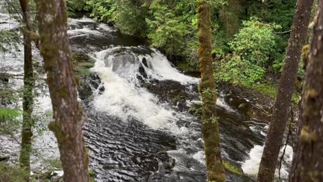 Un-Río-En-El-Bosque-Nacional-Tongass-De-Alaska-Que-Cae-En-Cascada-A-Través-De-Los-árboles.