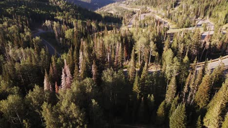 A-drone-pulls-back-and-tilts-over-the-evergreen-trees-of-Guardsman-Pass,-Utah