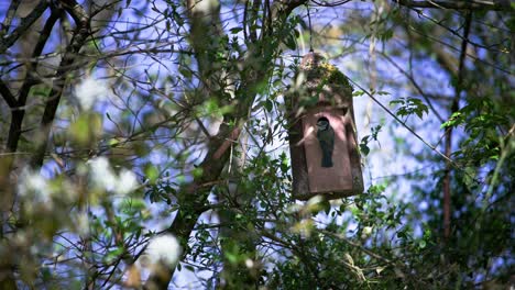 Homemade-nesting-box-for avian-wildlife-in-garden