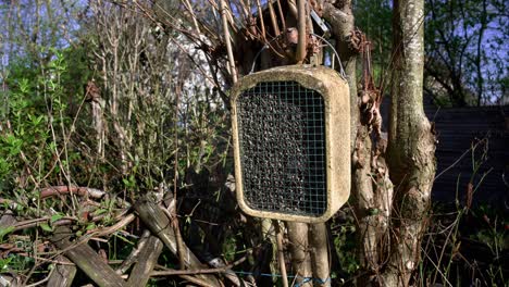 Homemade-nesting-box-for avian-wildlife