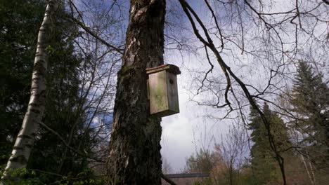 Wooden-homemade-shelter-for-songbirds-and-small-passerines