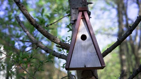 Wooden-shelter-for-songbirds-and-small-passerines