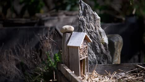 Eco-friendly-DIY-birdhouse-for avian-conservation