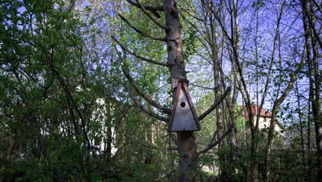 Handcrafted-nesting-box-for-avian-conservation