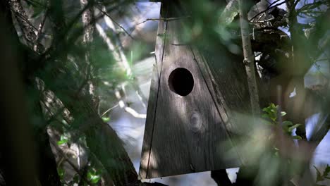 Nesting-DIY-box-for-birds,-titmice,-redstarts-and-other-small-passerines---Home-made-nesting-box